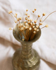Mabel Vase