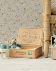 Mum & Dad Mice in Cigar Box