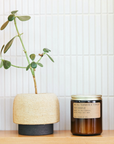 Teakwood & Tobacco - 7.2 oz Standard Soy Candle