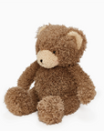 Cubby Bear