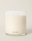 No. 02 Medium Candle - the Scent of Sunshine in the Desert