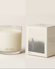 No. 02 Medium Candle - the Scent of Sunshine in the Desert
