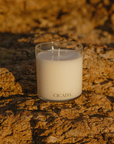 No. 02 Medium Candle - the Scent of Sunshine in the Desert