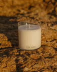 No. 09 Medium Candle - the Scent of Prickly Pear