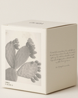 No. 09 Medium Candle - the Scent of Prickly Pear