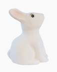 Rabbit Savings Bank
