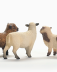 Sheep Friends Playset - Schleich