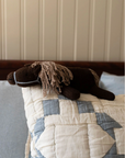 New Grain Knit Pony - Hank - cocoa