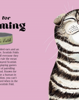 Catphabet : A Cat Alphabet Hardcover Book