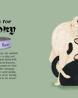 Catphabet : A Cat Alphabet Hardcover Book