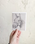 Horse Sketch Greeting Card