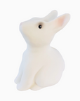 Rabbit Savings Bank
