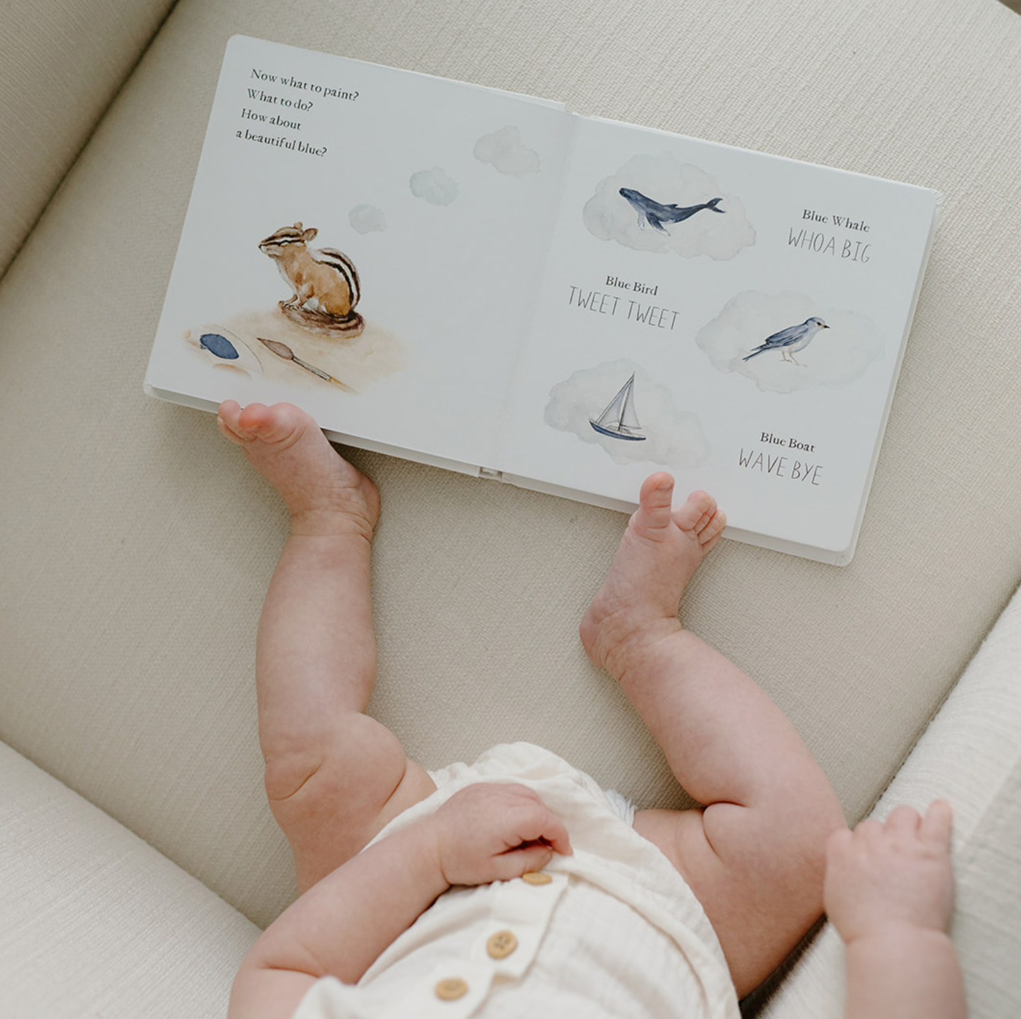 Wishy Washy: A Board Book of First Words and Colors