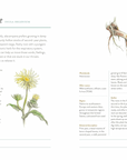Our Kindred Home: Herbal Recipes, Plant Wisdom, and Seasonal Rituals for Rekindling Connection with the Earth Hardcover