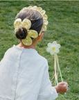 Daisy Daisy Wand