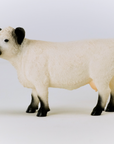 Galloway Cattle Farm Toy - Schilech