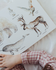 Our Big Book of Animals (Board Book)