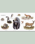 Our Big Book of Animals (Board Book)