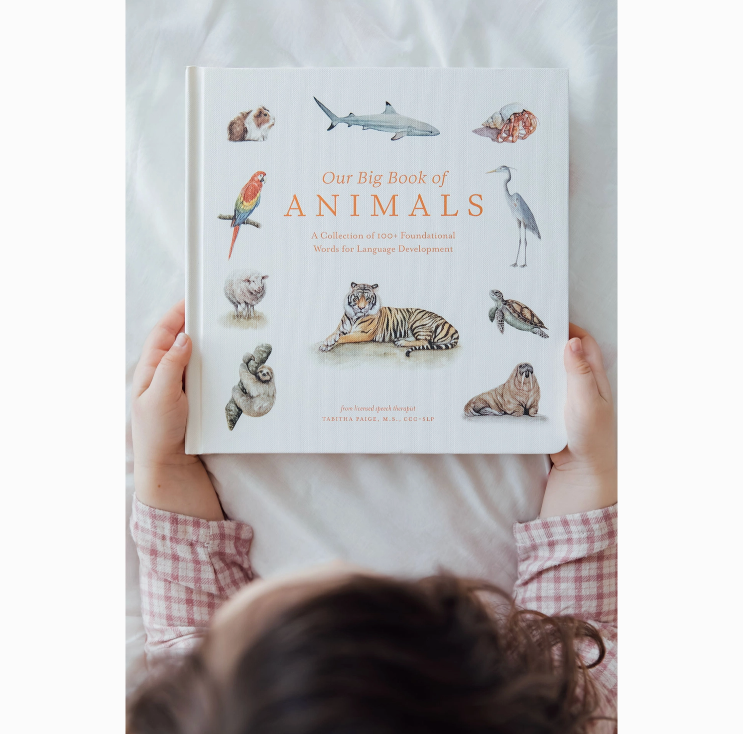 Our Big Book of Animals (Board Book)