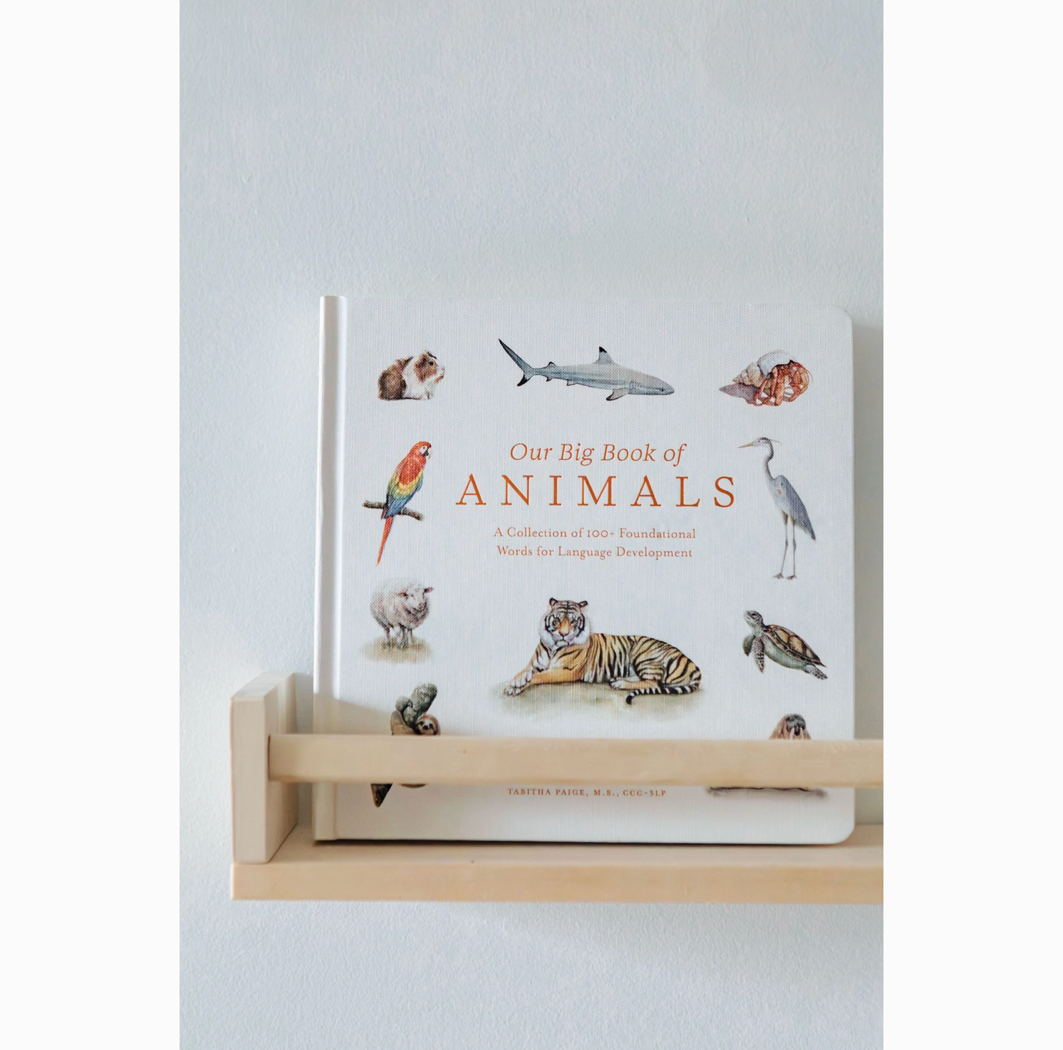 Our Big Book of Animals (Board Book)