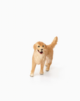 Golden Retriever Female Farm Dog Animal Toy - Schleich