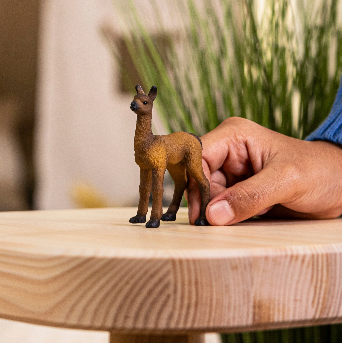 Llama Foal - Schleich