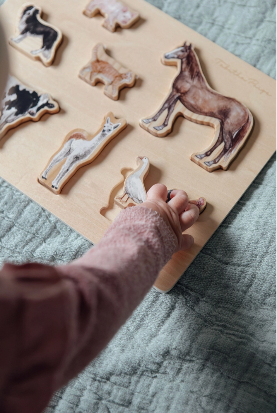 Farm Animals Wooden Puzzle: A Tabitha Paige Puzzle