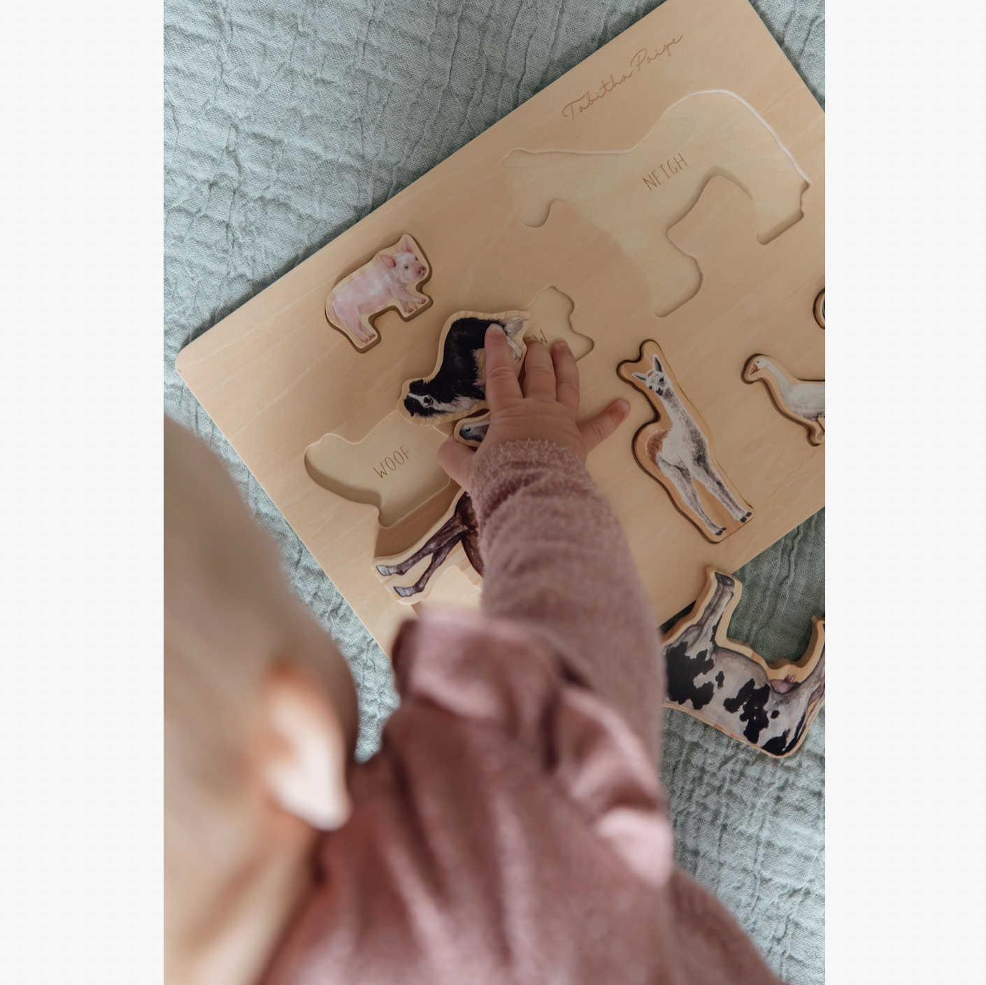 Farm Animals Wooden Puzzle: A Tabitha Paige Puzzle