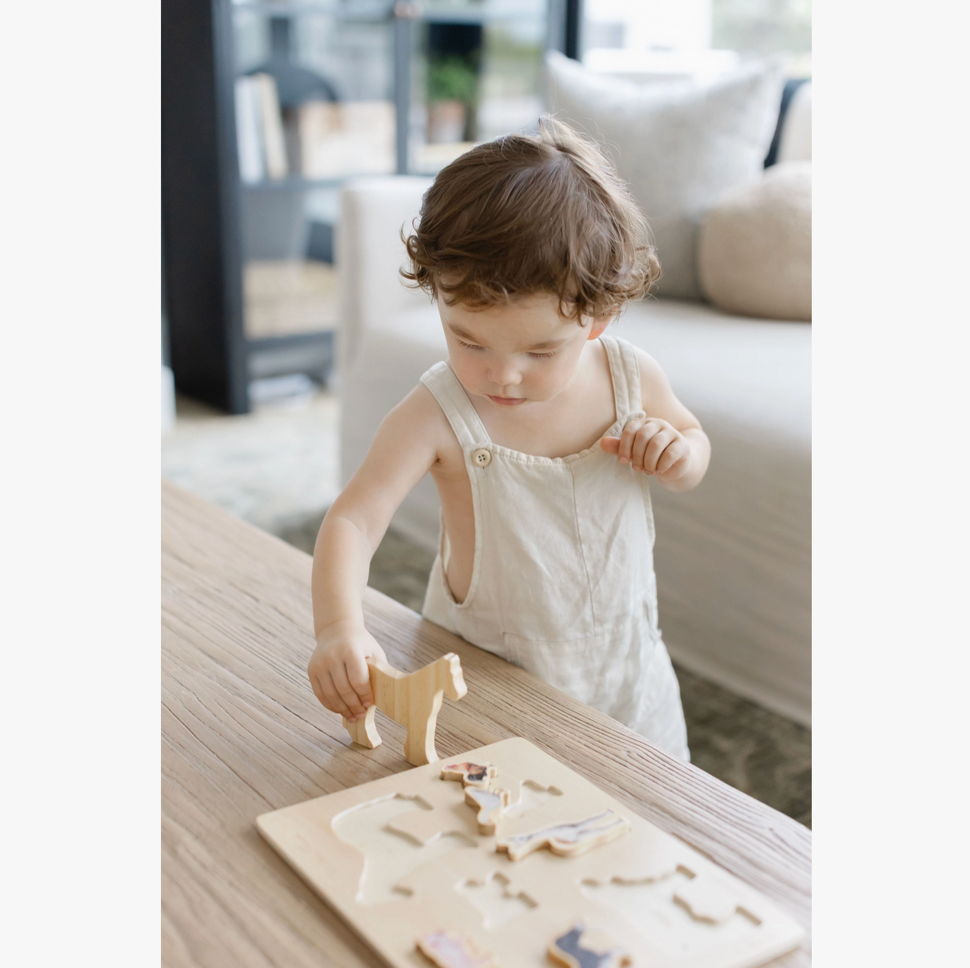 Farm Animals Wooden Puzzle: A Tabitha Paige Puzzle