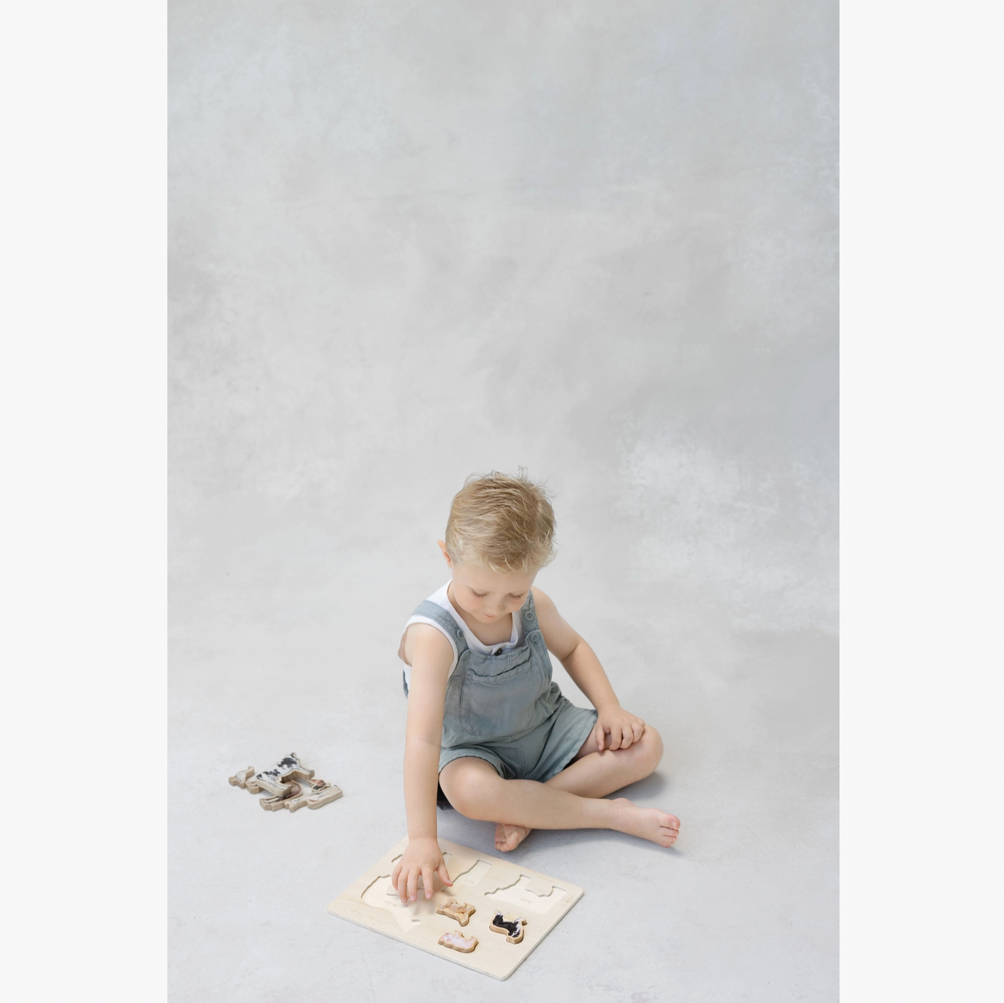 Farm Animals Wooden Puzzle: A Tabitha Paige Puzzle