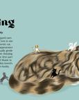 Catphabet : A Cat Alphabet Hardcover Book