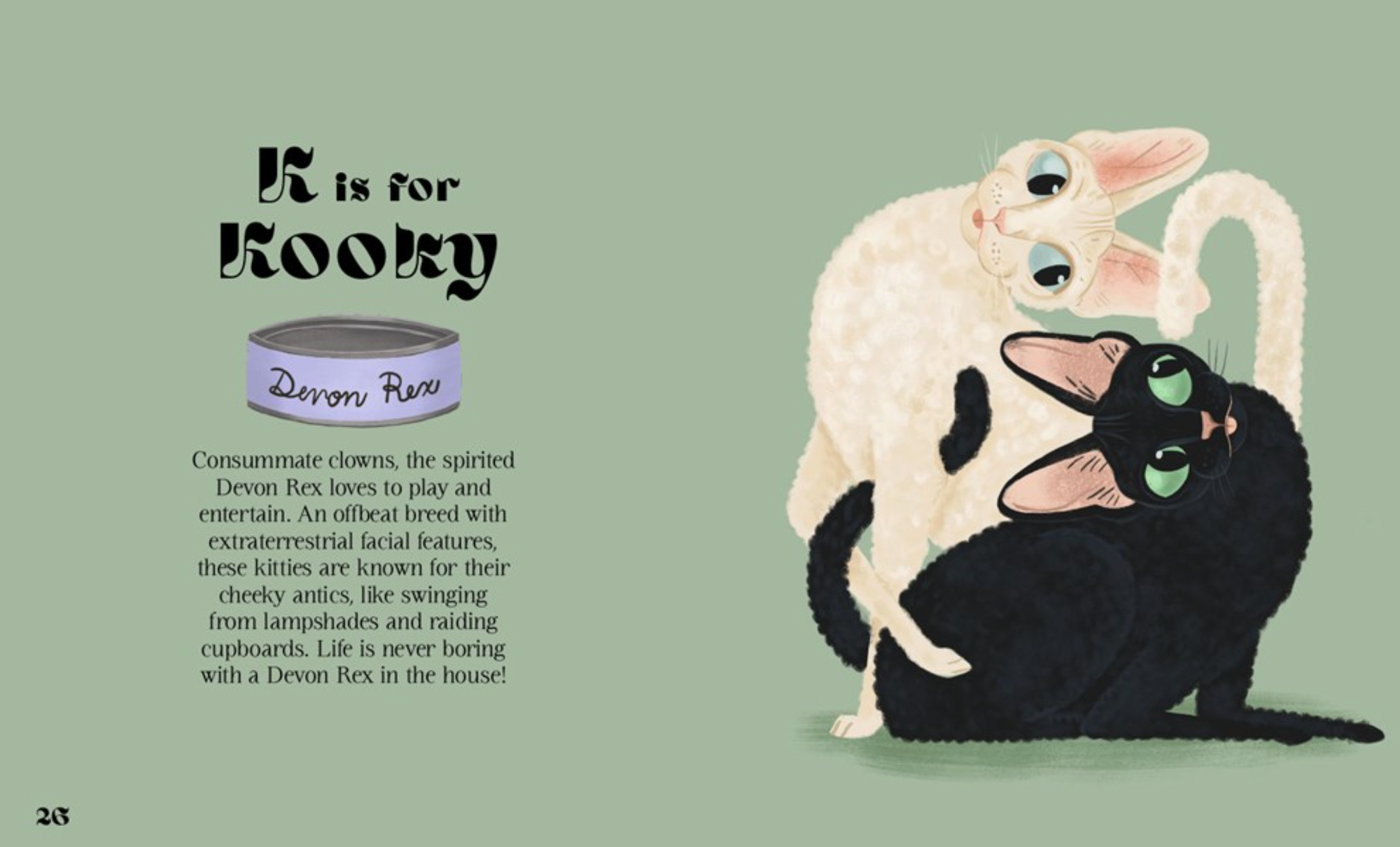 Catphabet : A Cat Alphabet Hardcover Book