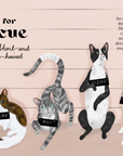 Catphabet : A Cat Alphabet Hardcover Book