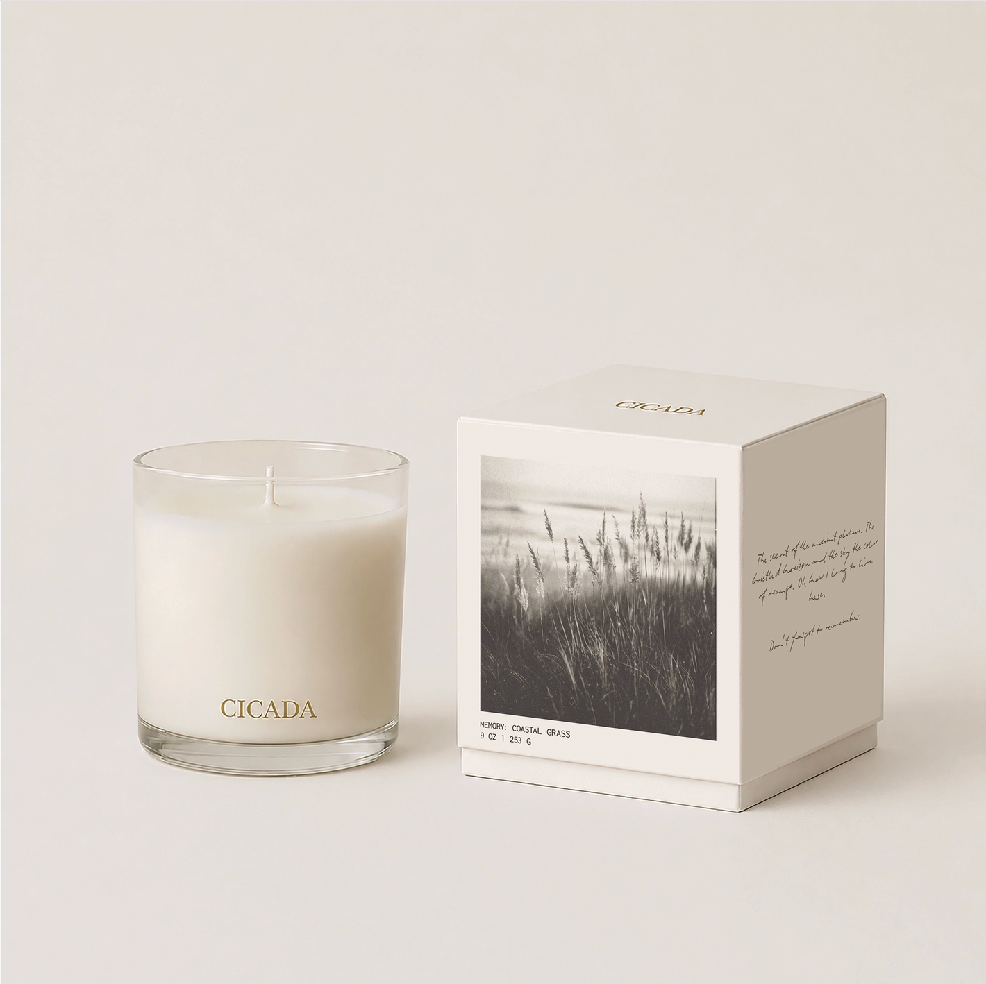 Coastal Grass Medium Candle