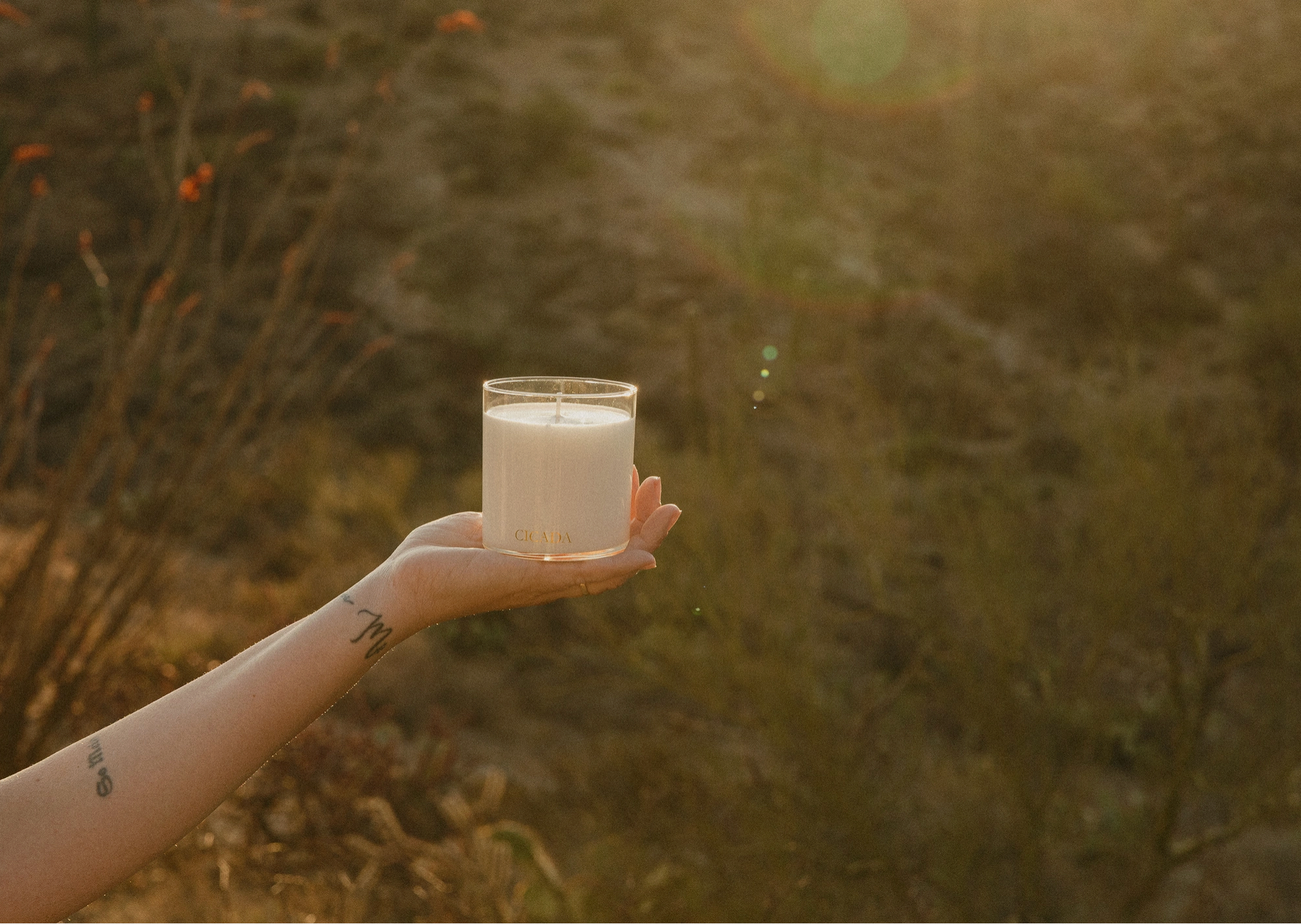Coastal Grass Medium Candle