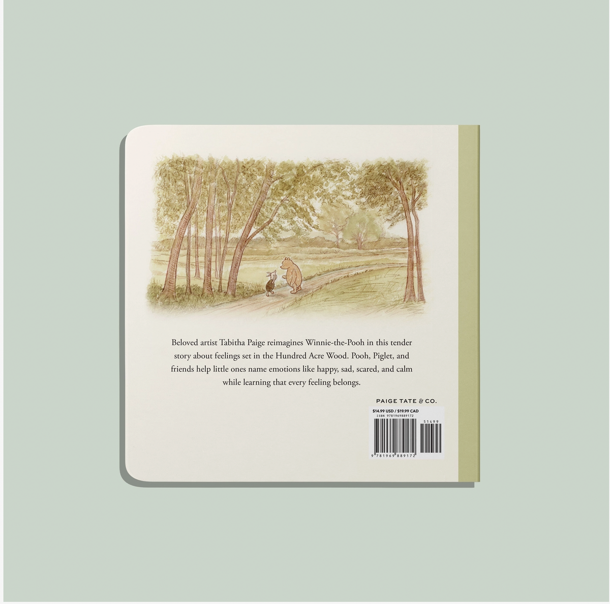 Winnie-The-Pooh: Finding Feelings