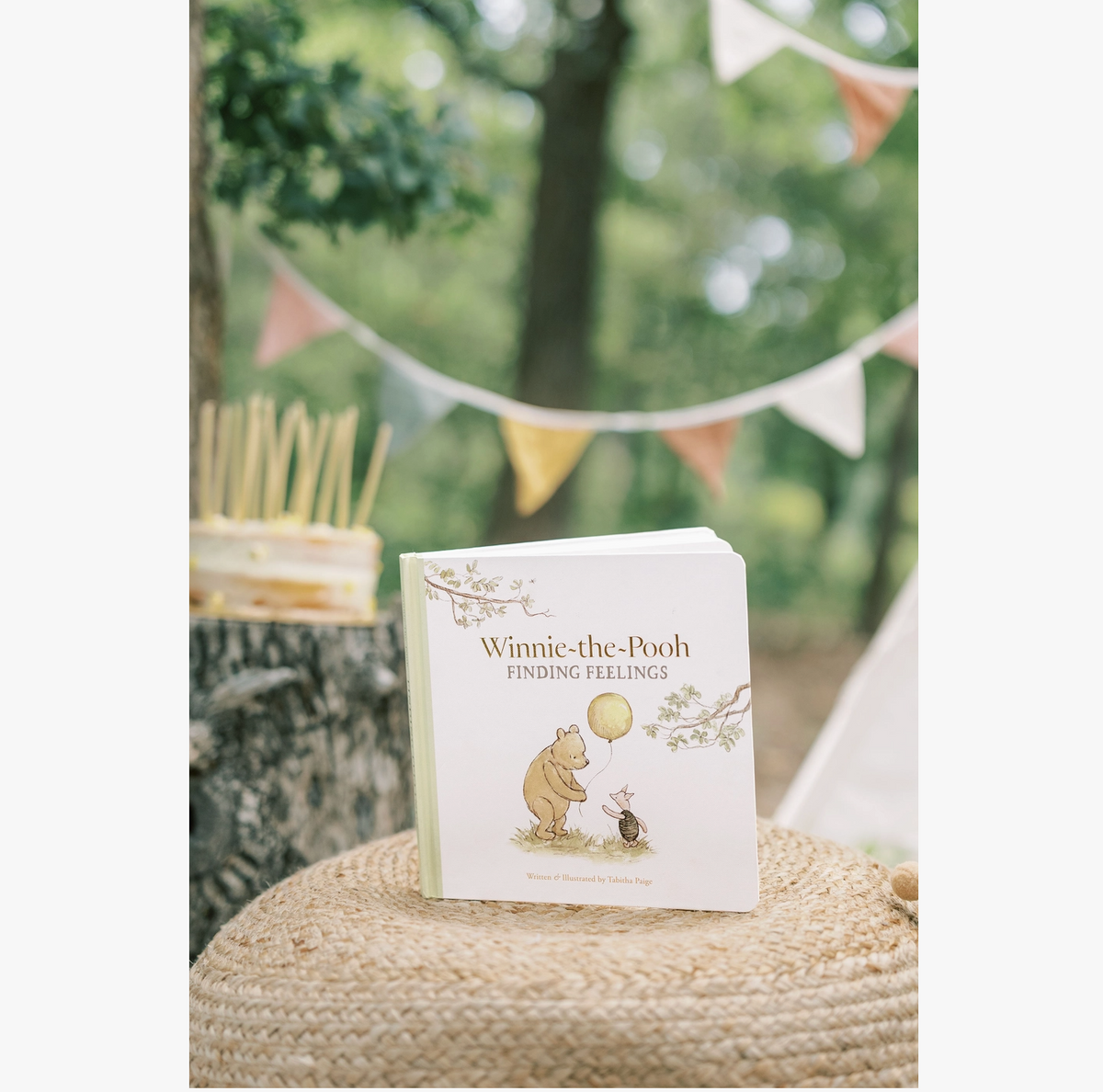 Winnie-The-Pooh: Finding Feelings