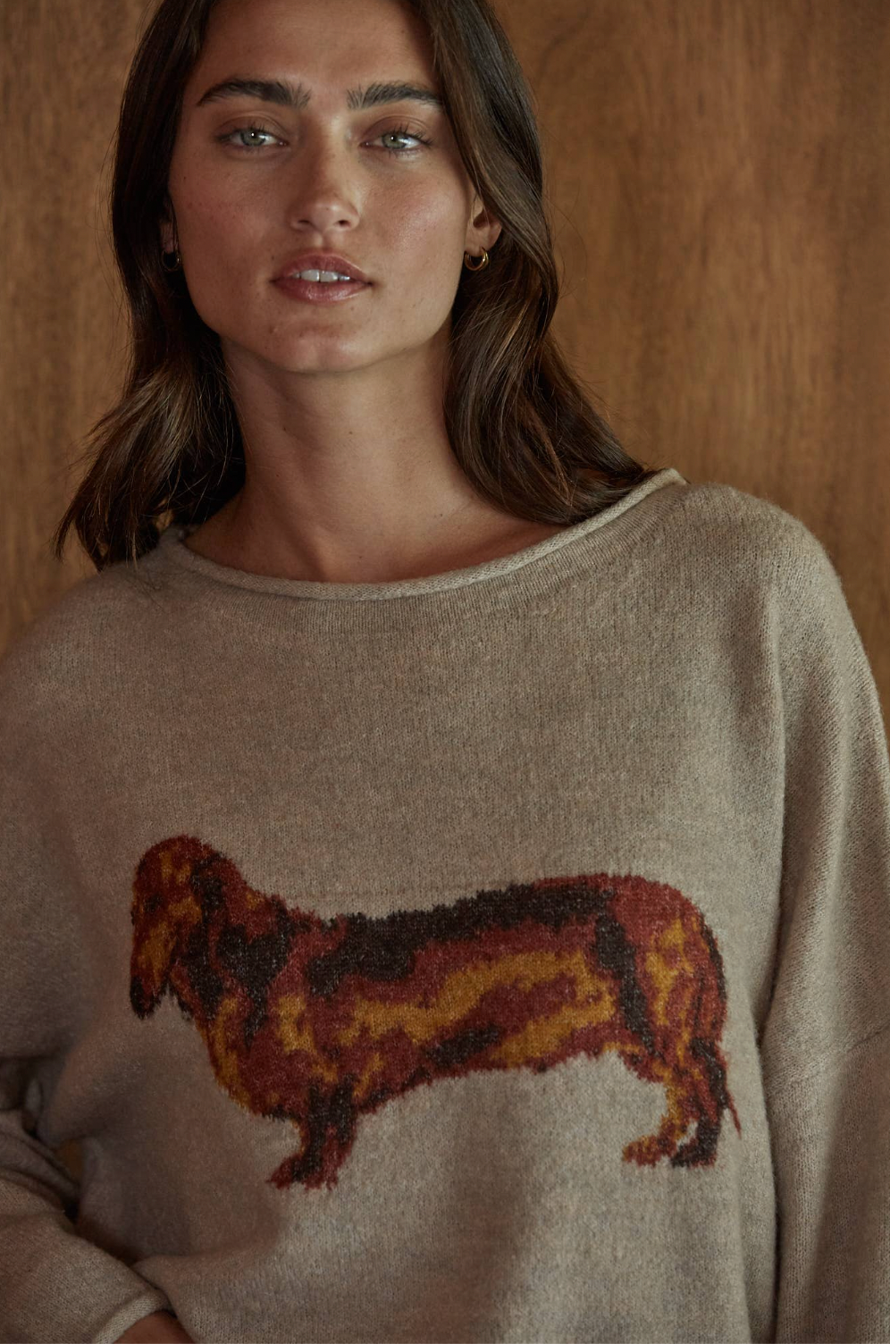 Dachshund Knit Pullover Sweater